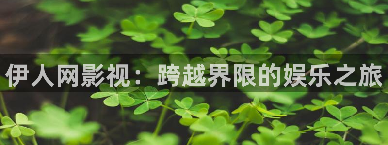 nba西瓜直播在线观看免费