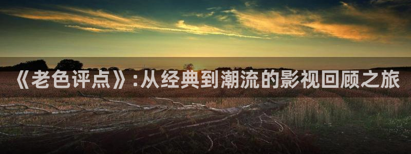 西瓜电影免费看完整版：《老色评点》:从经典到潮流的影视回顾之旅