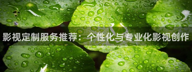 西瓜网在线免费观看