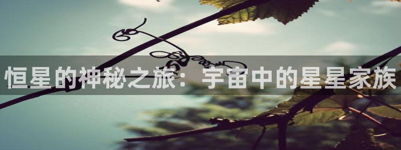 美人图西瓜影院：恒星的神秘之旅：宇宙中的星星家族