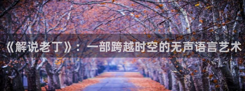 西瓜影片：《解说老丁》：一部跨越时空的无声语言艺术
