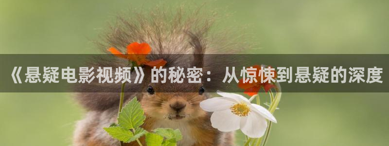 泽艺影视西瓜影城：《悬疑电影视频》的秘密：从惊悚到悬疑的深度