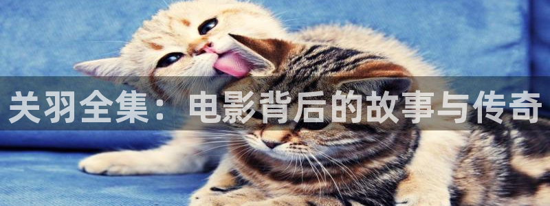 东莞西瓜：关羽全集：电影背后的故事与传奇