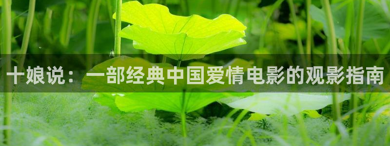 西瓜齐鲁影院：十娘说：一部经典中国爱情电影的观影指南