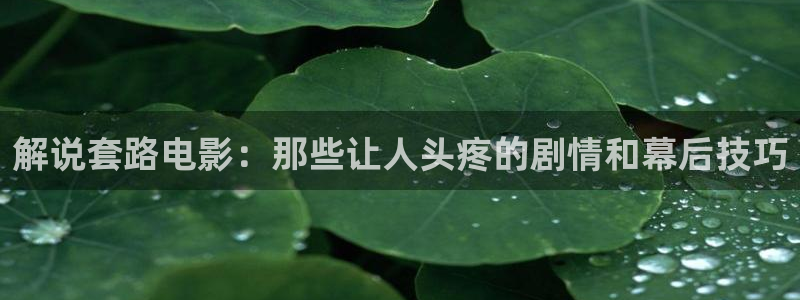 我的时代你的时代免费观看西瓜影院：解说套路电影：那些让人头疼的剧情和幕后技巧