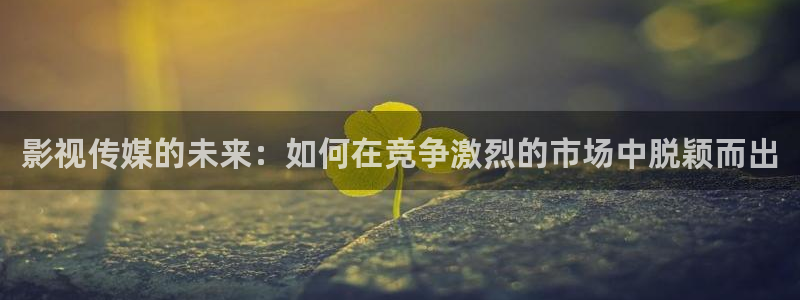 西瓜视濒：影视传媒的未来：如何在竞争激烈的市场中脱颖而出
