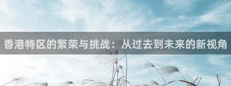 全职高手西瓜影院：香港特区的繁荣与挑战：从过去到未来的新视角