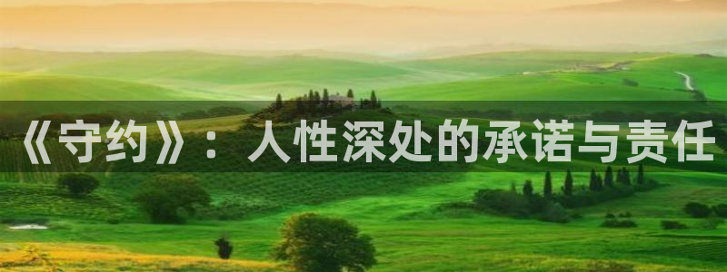 泽艺影院西瓜：《守约》：人性深处的承诺与责任