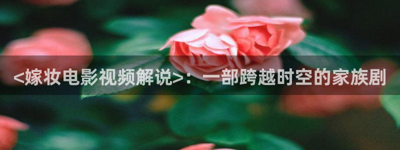 西瓜影院电视剧在线观看