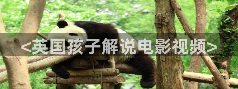 西瓜视频西瓜视频西瓜
